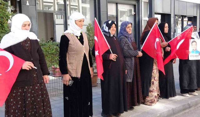 Vanlı annelerin evlat nöbeti 110’uncu haftasında