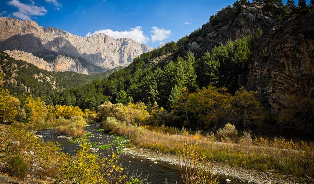 Adana'da Sonbaharın Gözdesi; Belemedik Tabiat Parkı