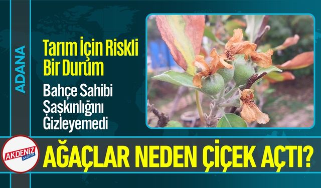 Mevsimler Şaşırdı, Ağaçlar Meyve Verdi