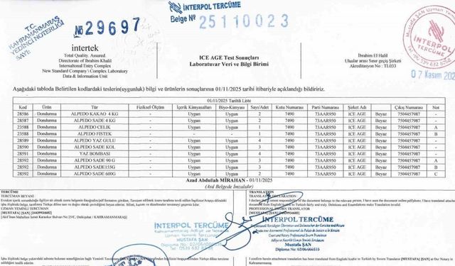 Alpedo Dondurma İddialarına Bakanlık Noktayı Koydu