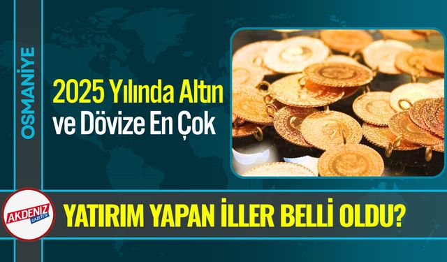Altın ve Dövize En Çok Yatırım Yapan İller Belli Oldu