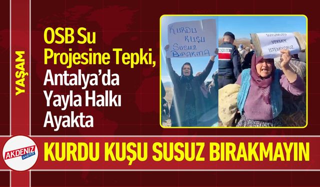 Antalya'da Köylülerin Su Savaşı: “Suyumuz Toprağa Aksın”