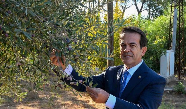 Antalya, Zeytinyağı ile Uluslararası Arenaya Çıkıyor