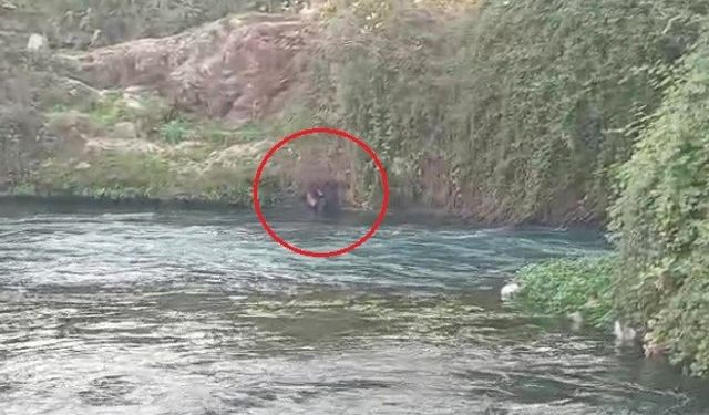 Antalya’da Nefes Kesen Kurtarma Operasyonu