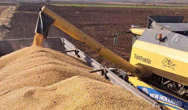 Araban Ovası’nda mısır hasadına başlandı