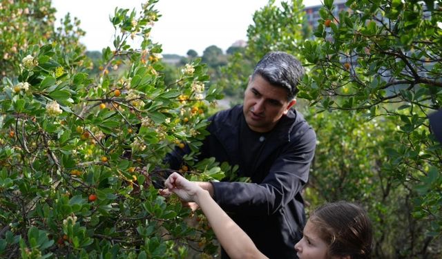 Ataşehir'de 4. Geleneksel Dağ Çileği Festivali