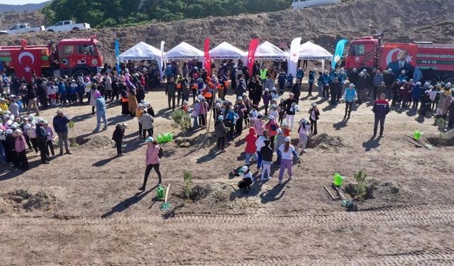 Aydın'da 17 Noktada On Binlerce Fidan Toprakla Buluşuyor