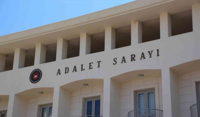 Bodrum'da Yavru Köpekleri Tüfekle Vuran Şahıs Tutuklandı!