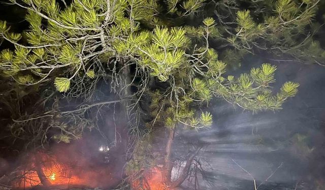 Mudurnu Gürçam'da Yangın Büyümeden Söndürüldü