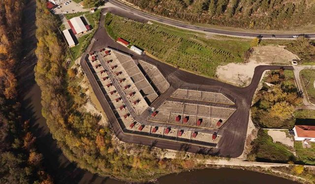 "Can Dostlar"a Kış Kalkanı: Barınaklarda Tüm Hazırlıklar Tamam