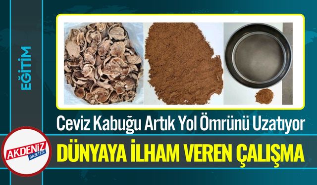 Ceviz Kabuğundan Asfalt Ürettiler; Asfalt Devrimi