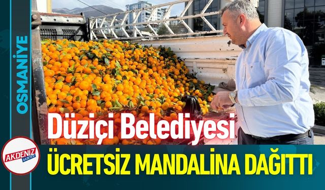 Osmaniye Düziçi'nde Bu Mandalinalar Bedava!