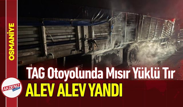 Osmaniye TAG Otoyolunda Tır Yangını