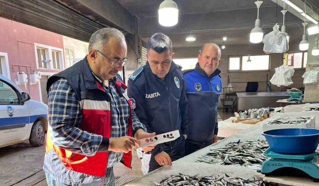 Emet Pazarı'nda Su Ürünleri Denetimi