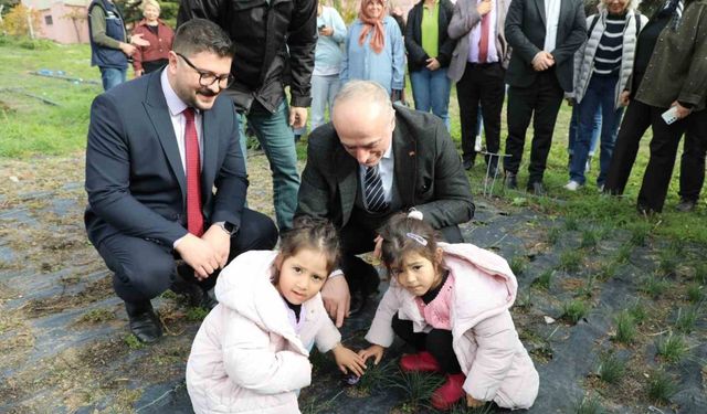 Eskişehir Safran Üretiminde Liderliğe Koşuyor