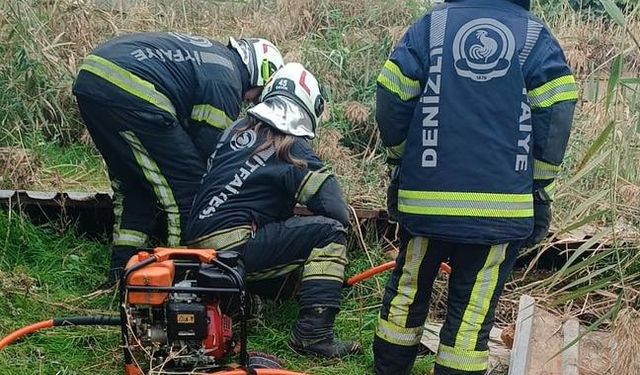 Fosseptik Çukuruna Düşen Köpeğin İmdat Çığlığı