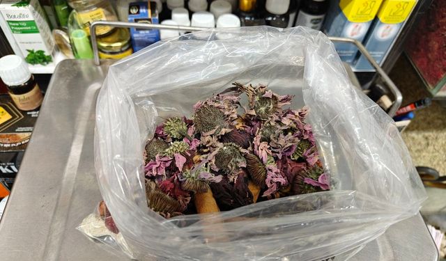 Kayserili Aktardan Kış Tavsiyeleri