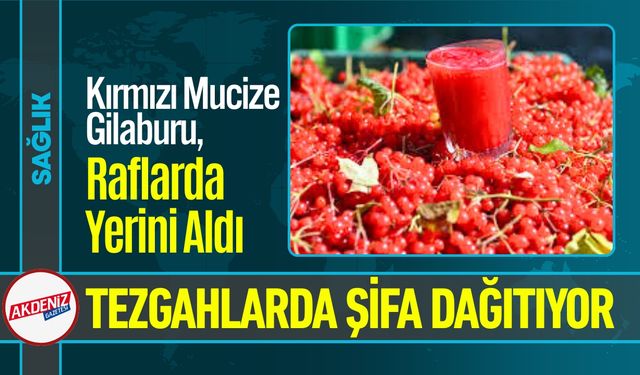 Gençlik İksiri Gilaburu, Tezgahlarda Şifa Dağıtmaya Başladı