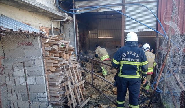 Hatay'da Can Kaybını Önleyen Müdahale