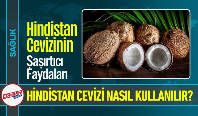 Hindistan Cevizi, İşte Sağlığa ve Cilde Etkileri
