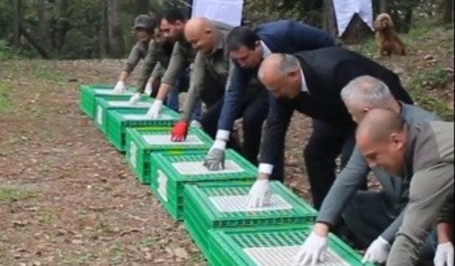 Kahverengi Kokarca İstilasına Karşı Biyolojik Savunma