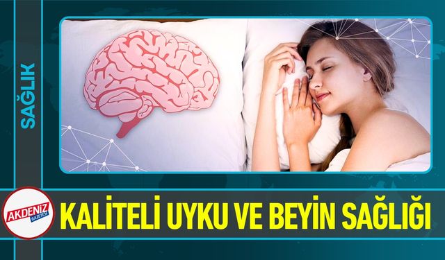 Kaliteli Uyku ve Beyin Sağlığı; Beyin Bakımı