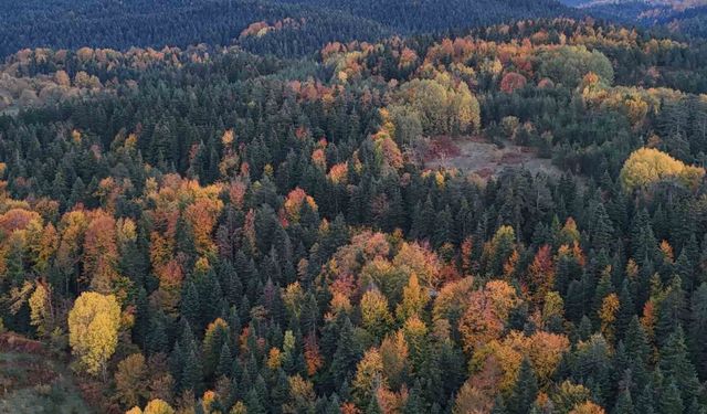 Karadeniz'in "Bodrumu" Renk Cümbüşüyle Göz Kamaştırıyor