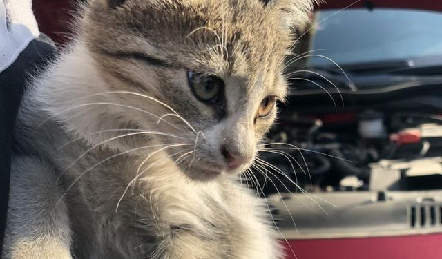 Kış Geldi, Araçlarınızı Çalıştırmadan Önce Kaputa Vurun!