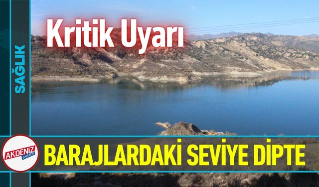 Binlerce Yıllık Miras Takıya Dönüştü