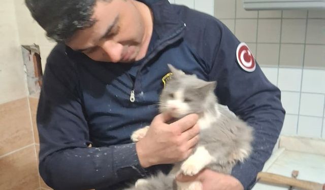 Havalandırma Boşluğuna Düşen Kedi Kurtardılar