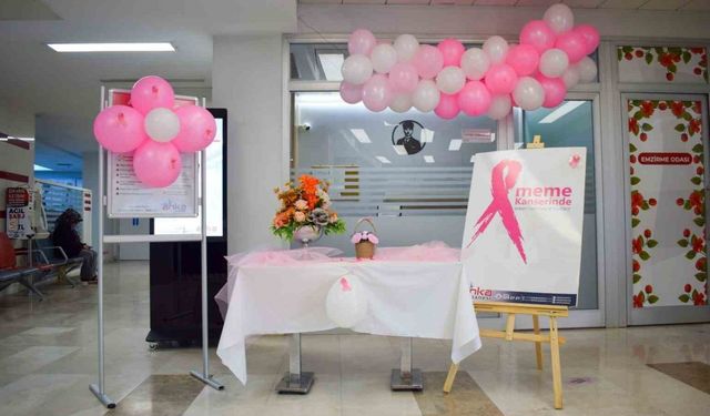 Meme Kanserine Pembe Dokunuş