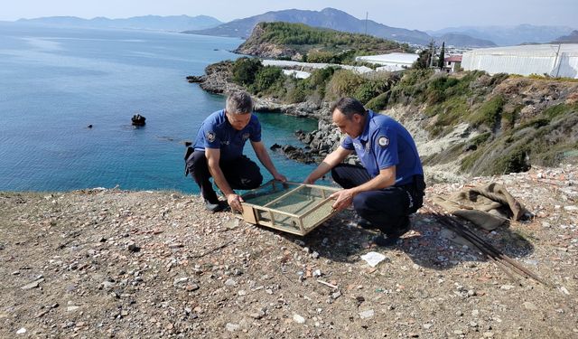 Mersin’de Kafeste Bulunan 80 Saka Kuşu Doğaya Salındı