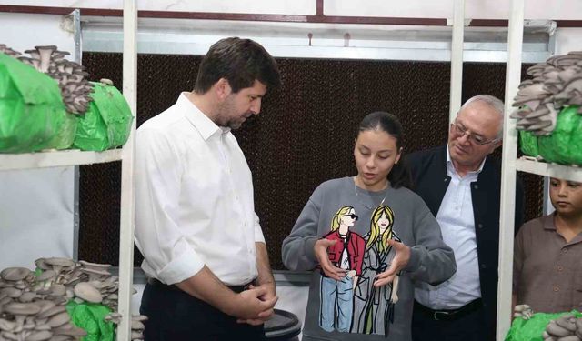 Mersin Tarsus’ta Mantar Sevinci