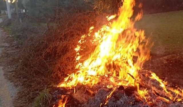 Milas’taki orman yangınları büyümeden söndürüldü