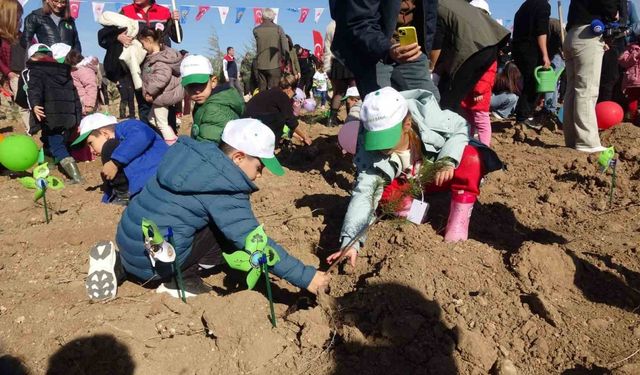 Milli Ağaçlandırma Hareketi: Burdur’da 13 Bin Yeni Nefes