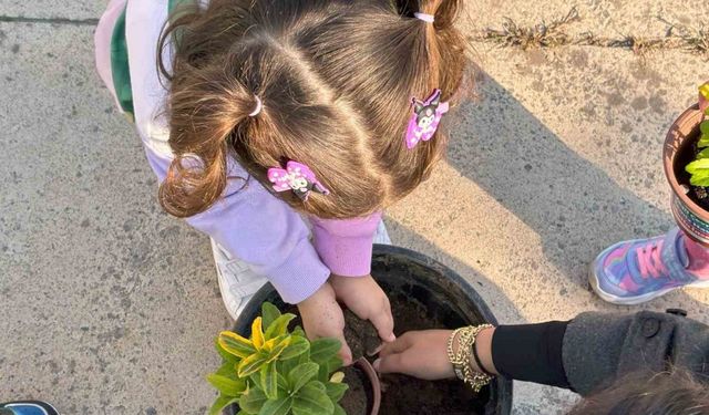 Minik Eller Toprağa Sakarya’da Umudu Ekti