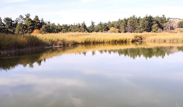 Saklıgöl Kapılarını Açtı: Doğanın Gizli Cenneti Ziyaretçilerini Bekliyor