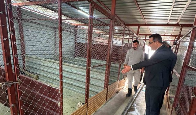 Sarıgöl’de hayvan bakım hizmetlerine yakın takip