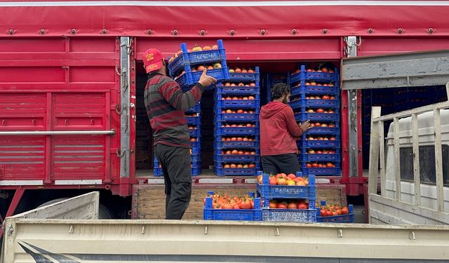Sıcak Hava Sezonu Uzattı: Domateste Yüzler Gülüyor
