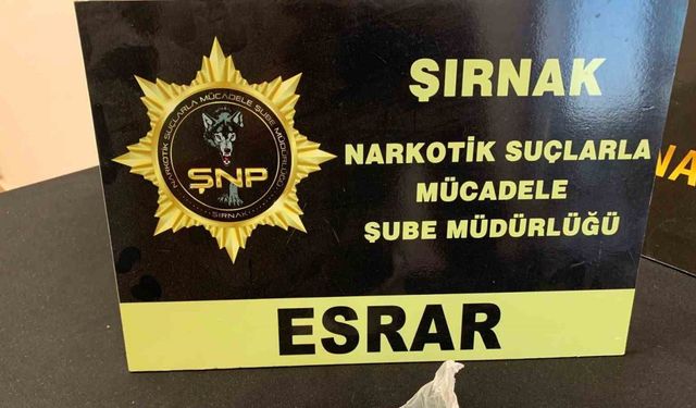 Şırnak’ta Bir Haftada 15 Milyon TL'lik Kaçakçılık Ağlarına Neşter