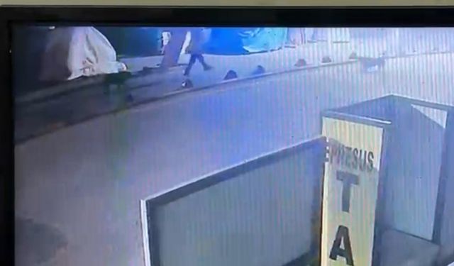 Sokak Köpeğini Vuran Emekli Astsubay Serbest Bırakıldı!