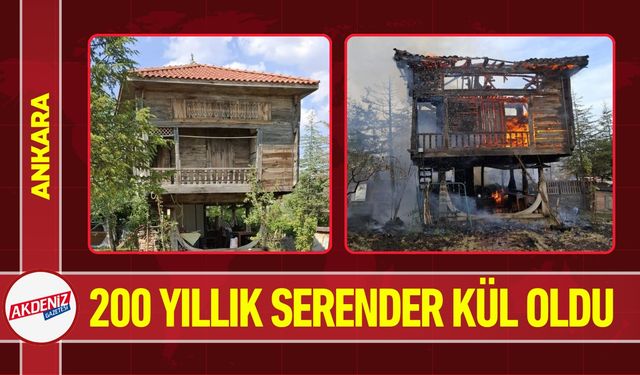 200 Yıllık Serender Alevlere Teslim Oldu