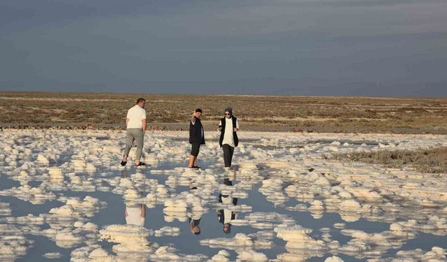 Papatyayı Andıran Dev Tuz Kütleleri Ortaya Çıktı