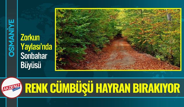 Osmaniye Zorkun da, Büyüleyen Sonbahar Manzaraları