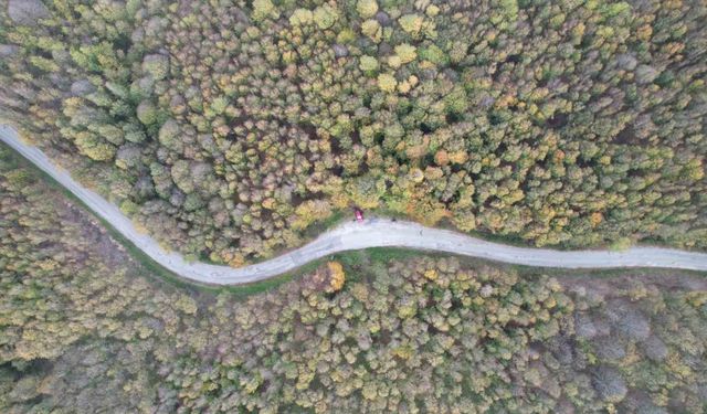 Yalova’da Sonbahar Şöleni: Samanlı Dağları’nda Renk Cümbüşü
