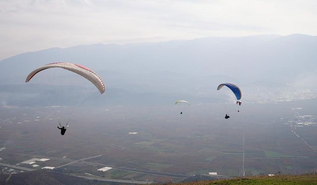 Yanan ormanlar için gökyüzünden paraşütle tohum yağdı