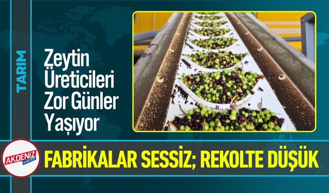 Adana’da Zeytinyağı Fabrikaları Bu Yıl Sessiz