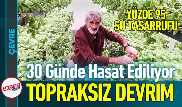 30 Milyonluk Dikey Tarım: Yüzde 95 Su Tasarrufu