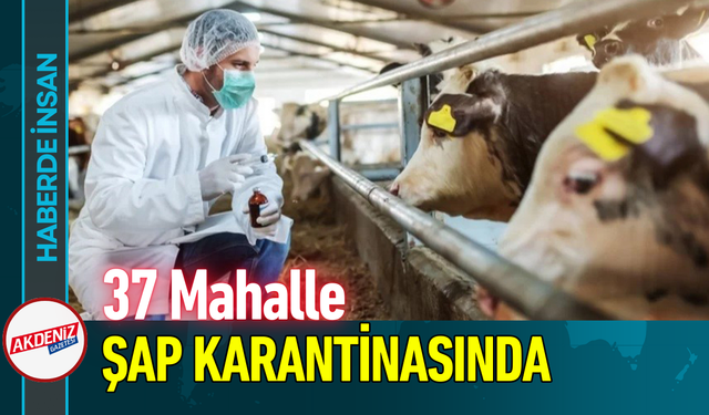 37 Mahalle Şap Karantinasında!