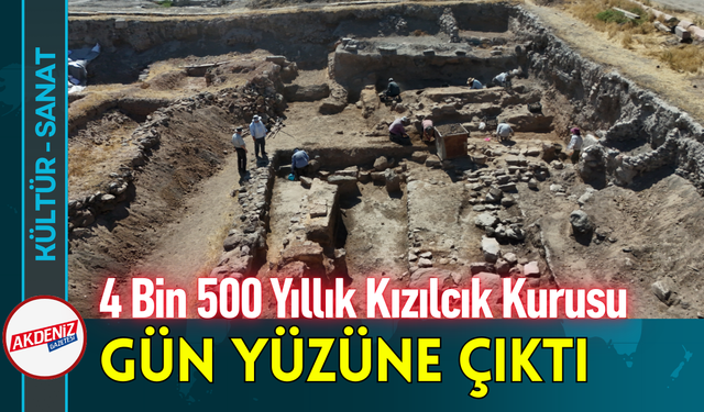 4 Bin 500 Yıllık Kızılcık Kurusu Gün Yüzüne Çıktı!